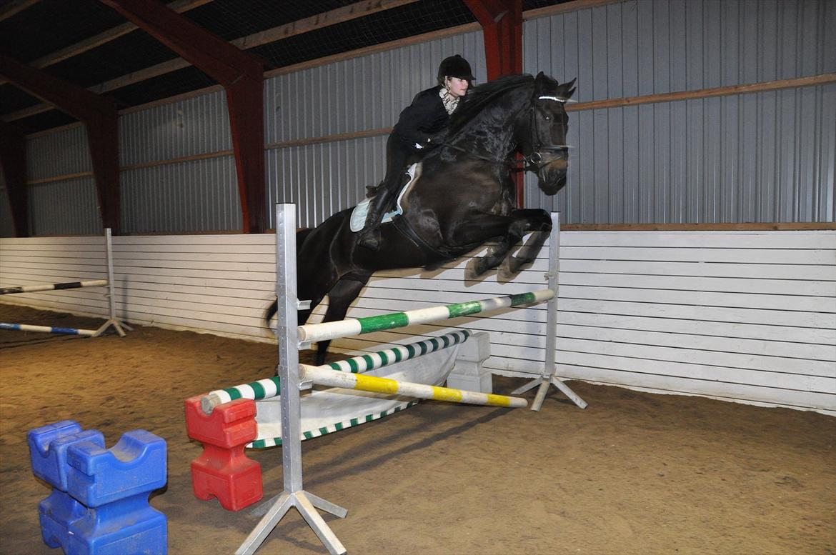 Hannoveraner Enrico - „Hver gang du taber, er der en anden der vinder. Hvis du nu vandt hver gang, ville det være et stort tab for resten af verden. billede 7