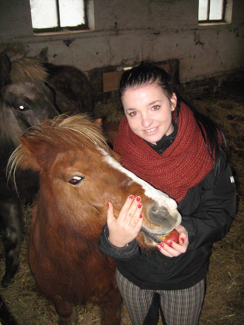 Shetlænder Ronja  - Så var vi ude og sige hej til bette ponyen efter en del år! Det var godt nok skønt :-) billede 17