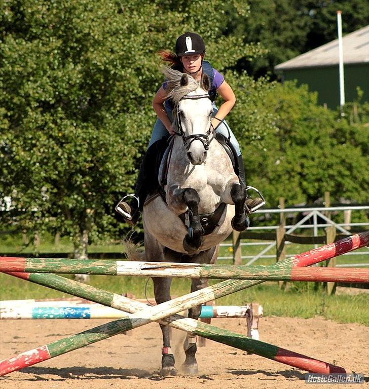 Anden særlig race Charlie billede 19