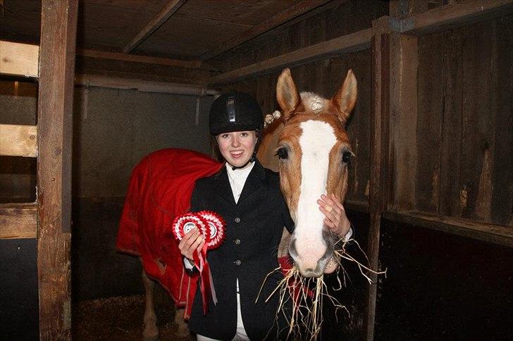 Haflinger Studgårdens Sally<3 *STJERNEN* Savnet :'(<3 - Emilie og sally Vinder Lc2 og deres første Lb2 :D SÅÅ stolt !!! <3 billede 16