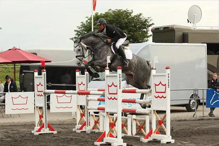 Holstener Coco Chanell S - Championat 2010 billede 4