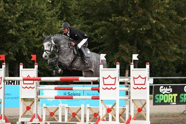 Holstener Coco Chanell S - Championat 2010 billede 7