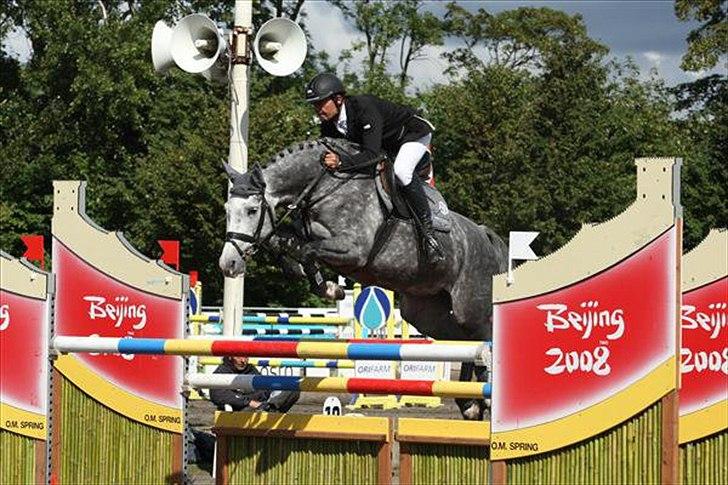 Holstener Coco Chanell S - Championat 2010 billede 1