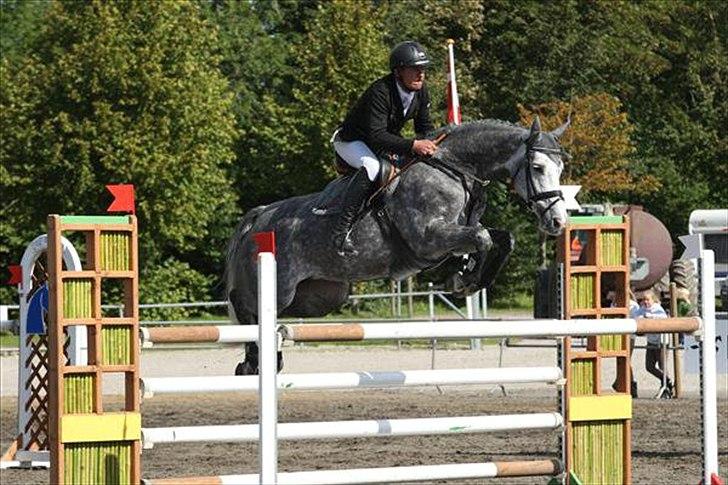 Holstener Coco Chanell S - Championat 2010 billede 11