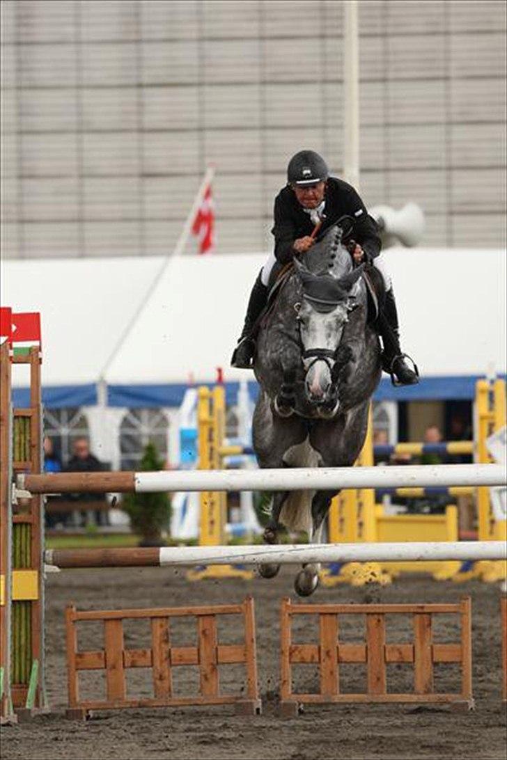 Holstener Coco Chanell S - Championat 2010 billede 12