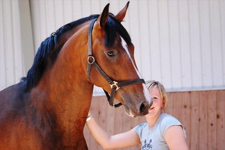 Holstener Cartoon S billede 12