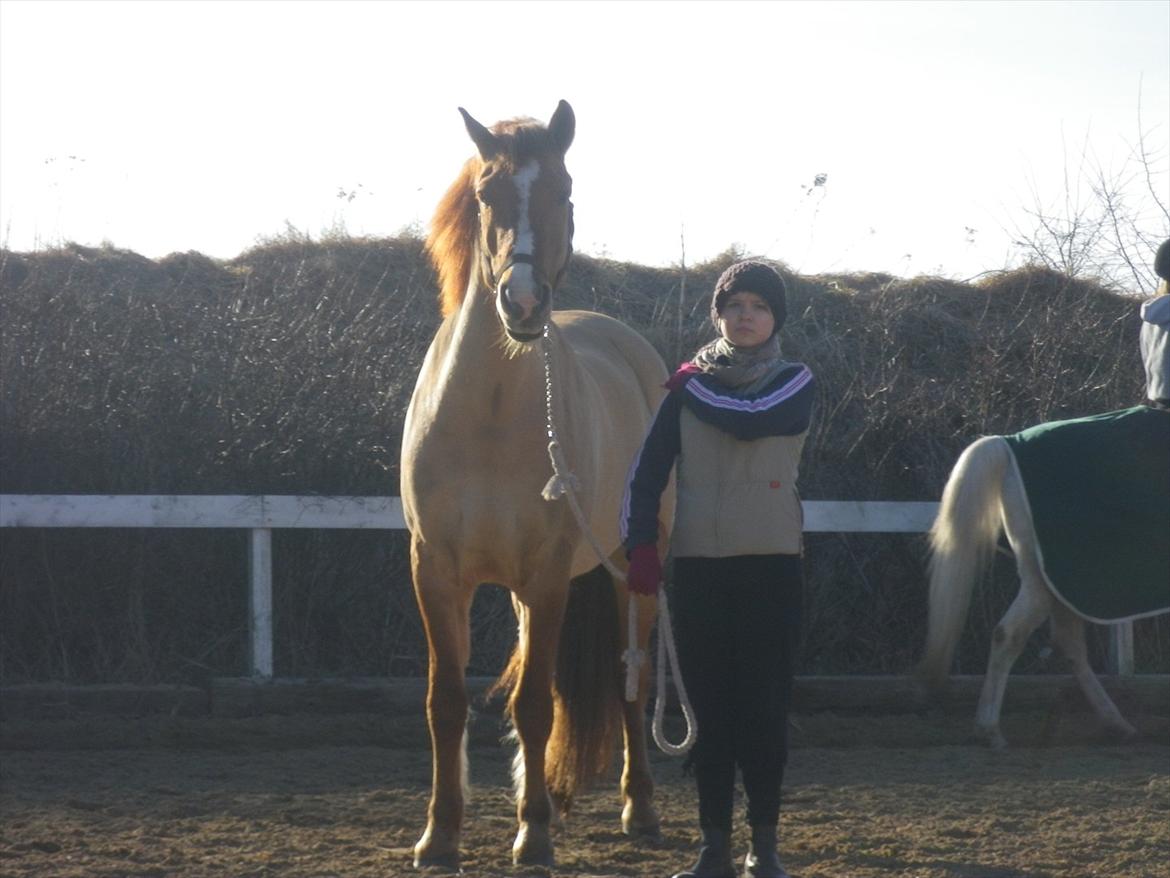 Anden særlig race Sir Thomas Ekipazas - Tak fordi i tog jer den tid at kigge forbi!:-) billede 18