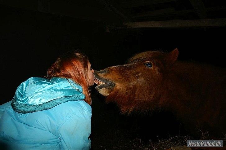 Islænder Røskva »Fortid, ikke fremtid. - Myyyyyyyys <3.
~ Sandra Reich. billede 2