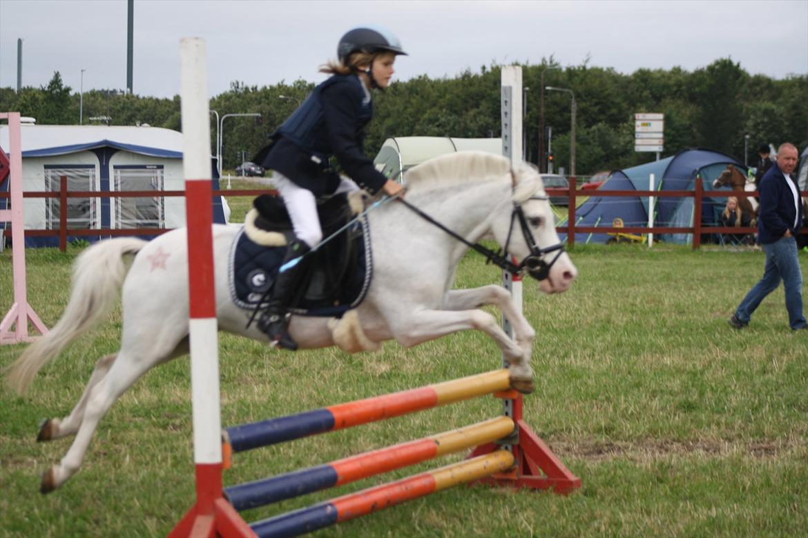 Welsh Pony (sec B) Ginie<3 - til hammerum ponyuge billede 6