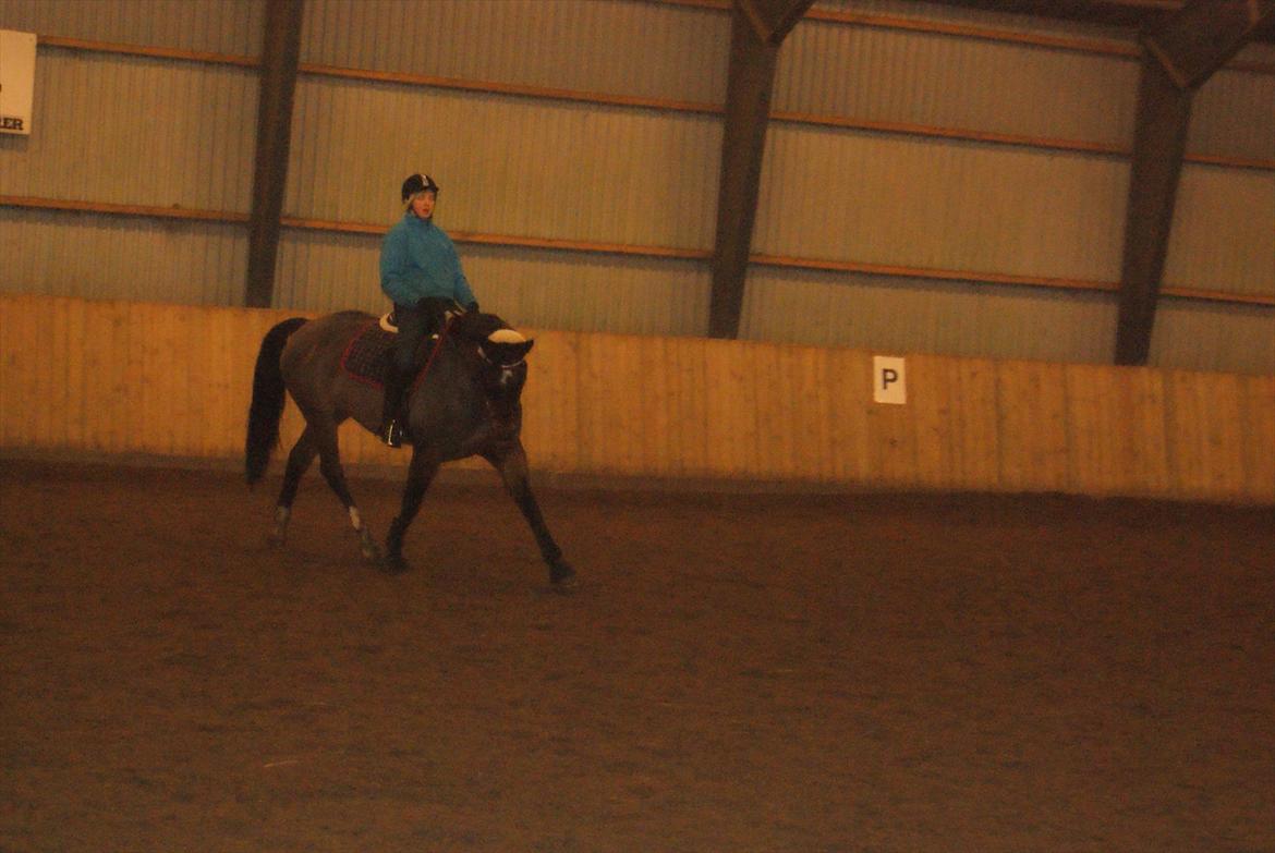 Dansk Varmblod Grankærs Come On ''PRINSESSEN''<3 - Du fantastisk, du gir mig smil på læben på de grå dage <3 billede 15