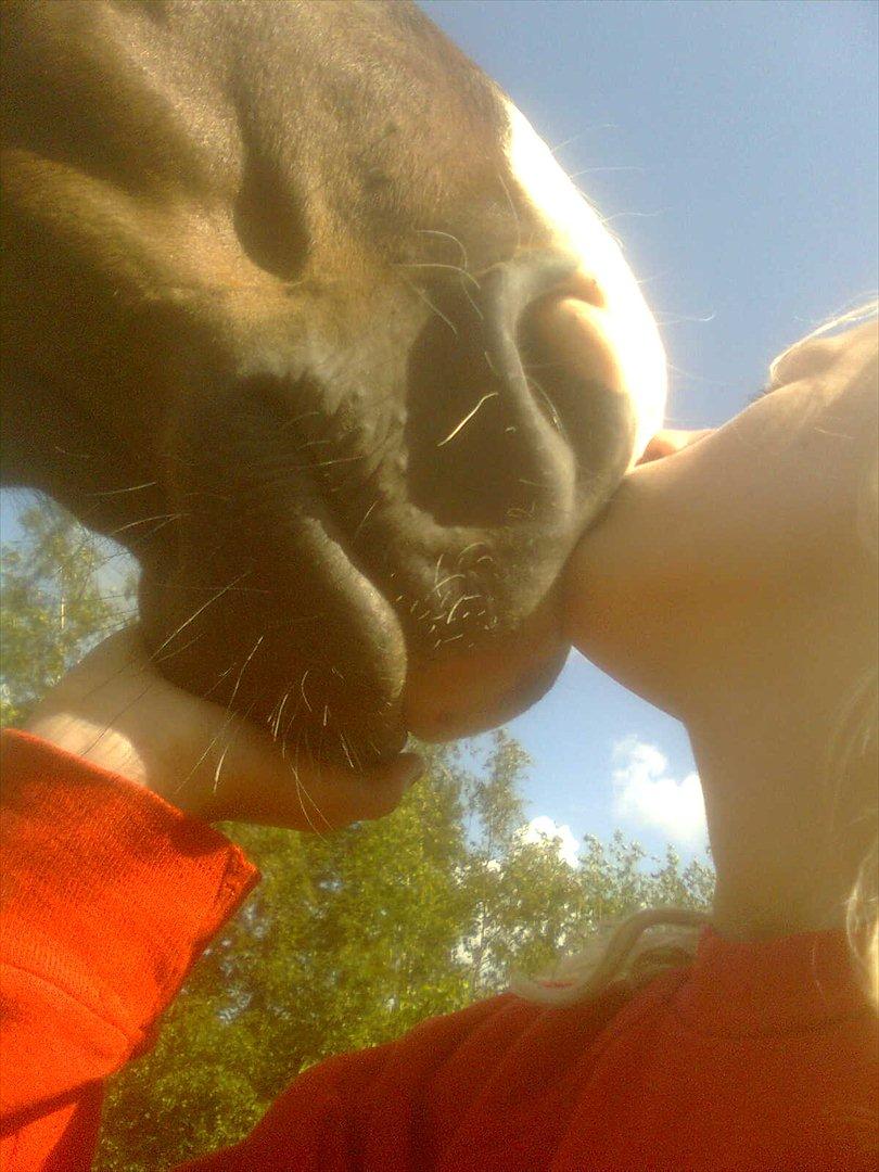 Anden særlig race Smirnoff - Hvem har blødest læber? Det er så dejligt at blive nulret på mulen:-) billede 6