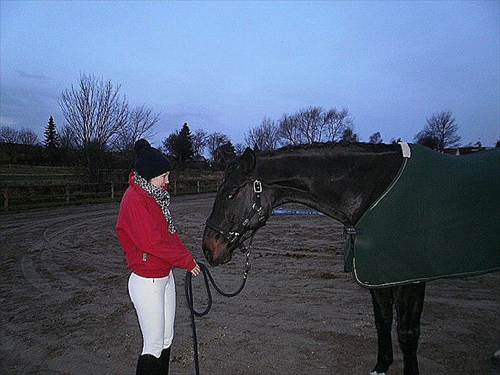 Anden særlig race Pepita billede 18