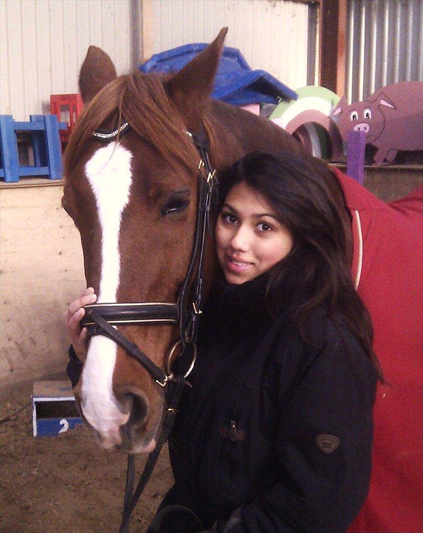 Hollandsk Varmblod ¨˜”°º• Rosa•º°”˜¨ Elsket & savnet. - lEn frihed, en styrke, en charme - og alligevel vælger du at blive min ven<3 billede 1