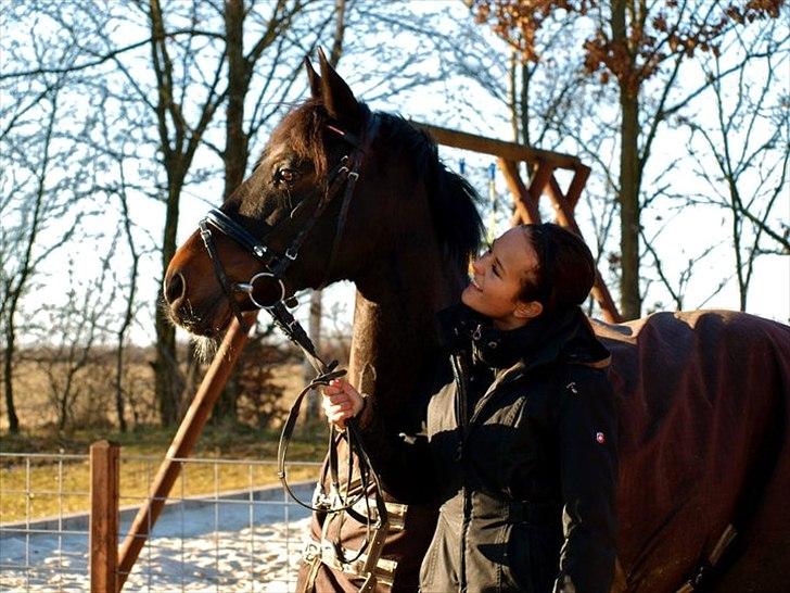 Hollandsk Sportspony SHAKIRA - Shalle! billede 2