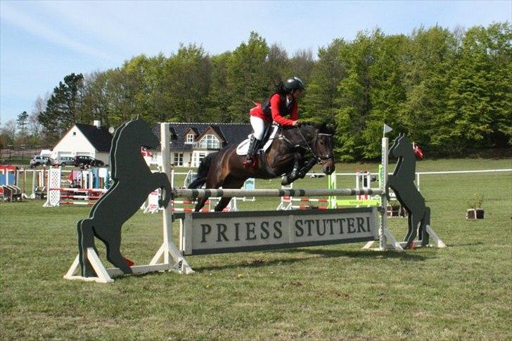 Hollandsk Sportspony SHAKIRA - Morsø 2010.
LA** 100 cm. billede 4