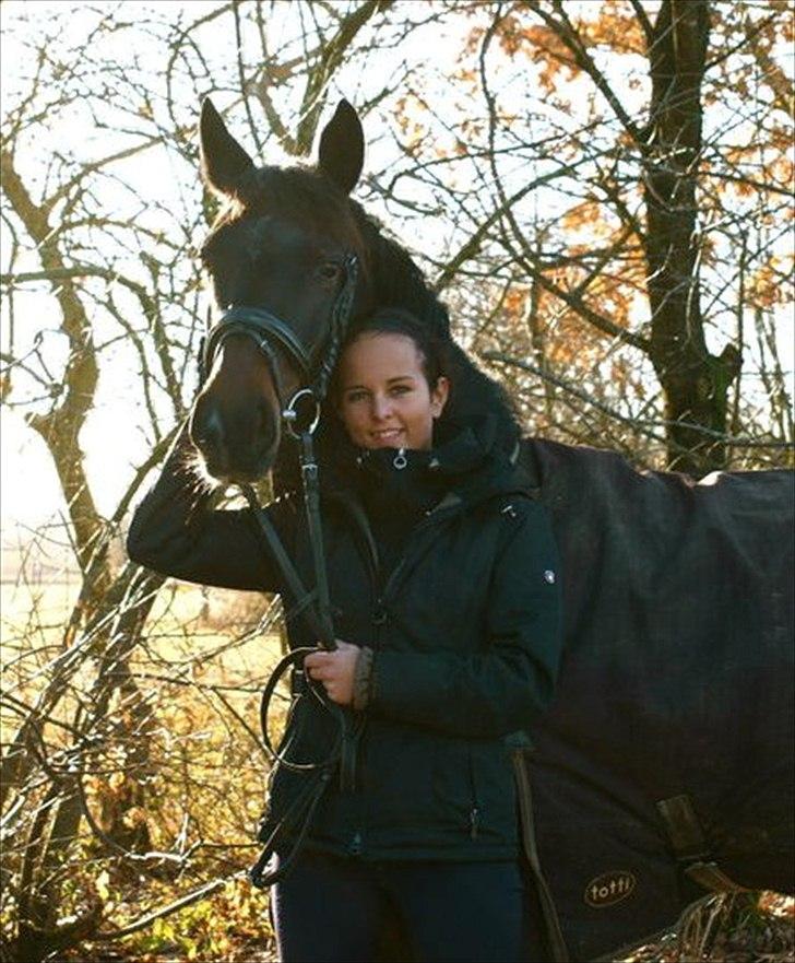 Hollandsk Sportspony SHAKIRA - Prinsessen <3 billede 5