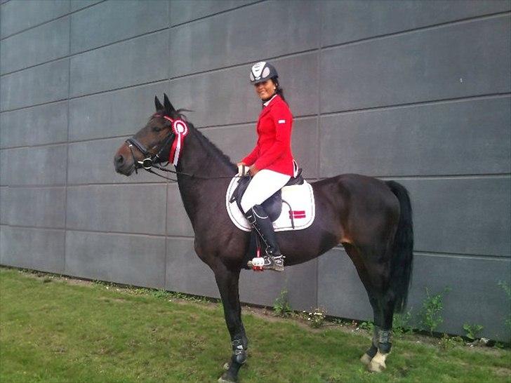 Hollandsk Sportspony SHAKIRA - Vinder af LA** Kjellerup Rideklub 2010.
Kat. 3 rytter :-) billede 7