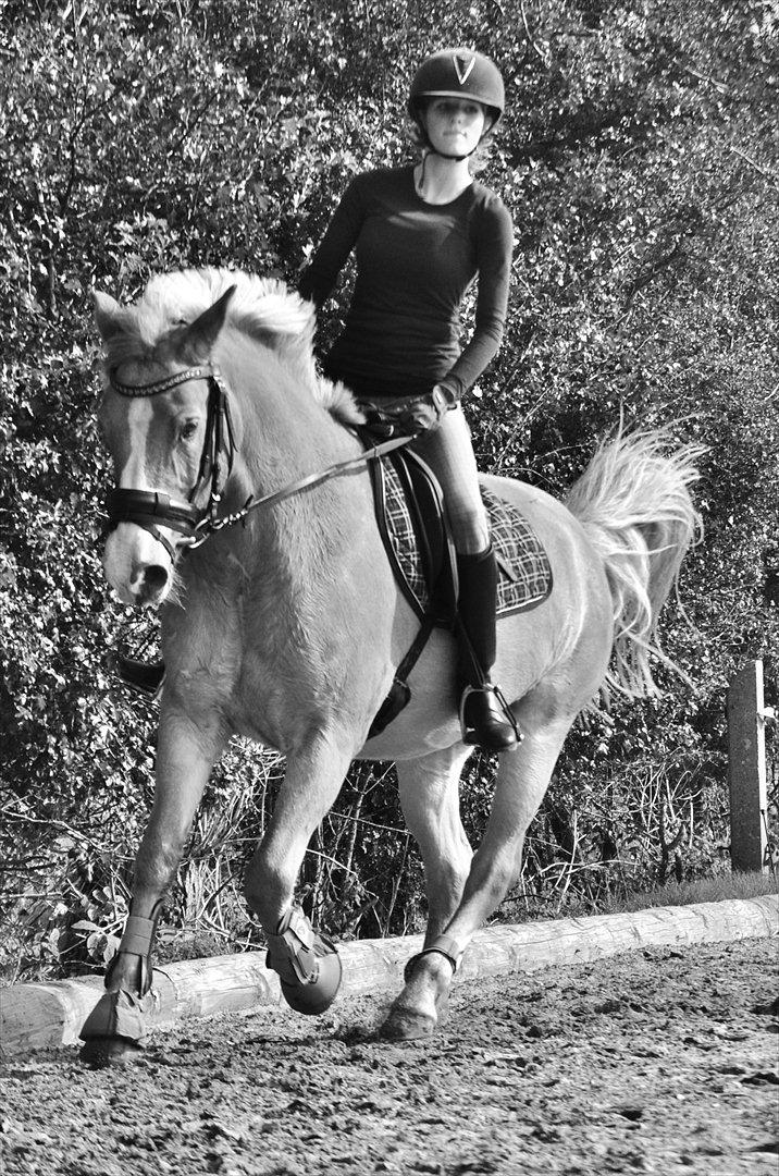 Anden særlig race Miss Jade - Velkommen til Jades profil :D  billede 14