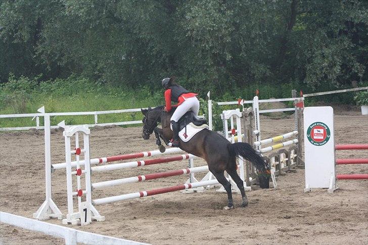 Hollandsk Sportspony SHAKIRA - Ponygården Solvang 2010.
LA** 100 cm. billede 9