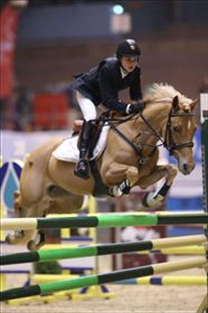 Hollandsk Sportspony Amy | B-pony <3  - MA** til CSIP 2010 <333 billede 13