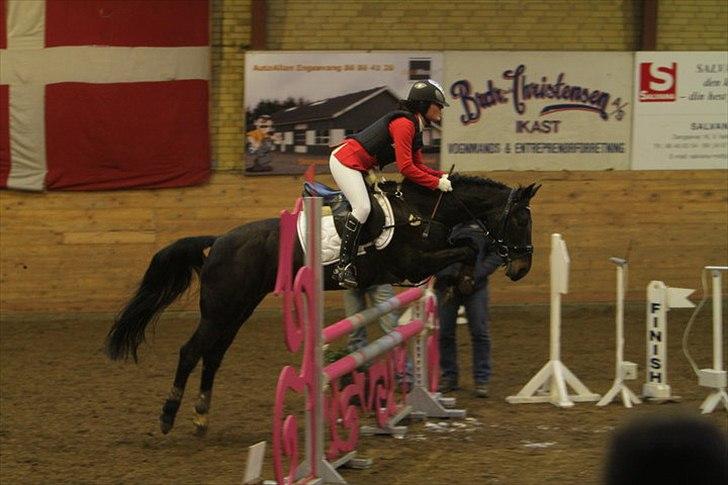 Hollandsk Sportspony SHAKIRA - Ikast Rideklub 2010.
LA** 100 cm. billede 10