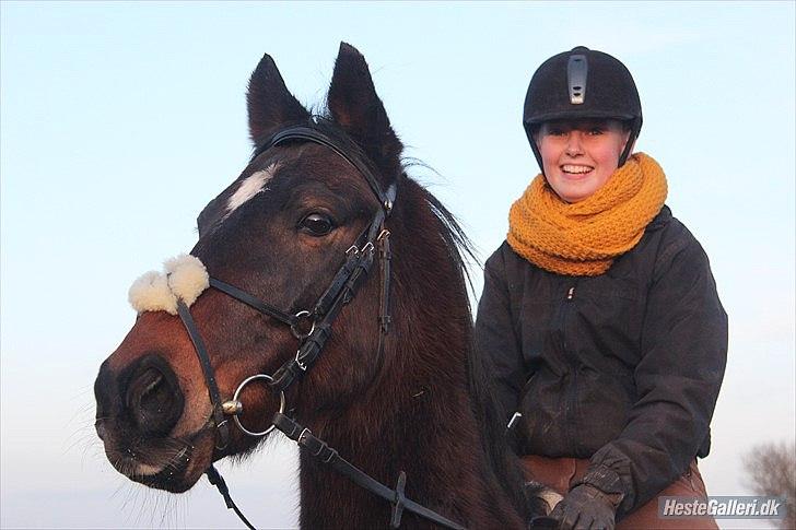 Anden særlig race Dark Stallion - Ægte kærlighed dør aldrig!<3
Fotograf: Camilla Steensen billede 5