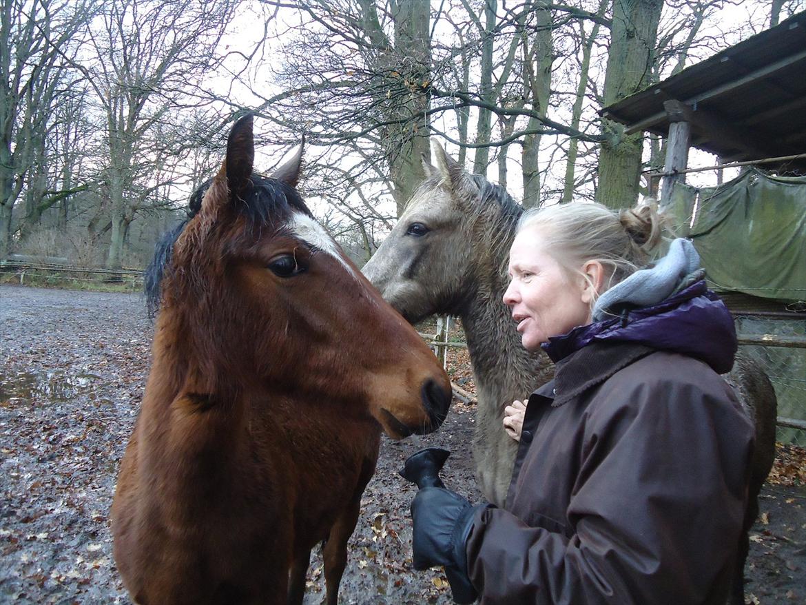 Mangalarga Marchador Girada vom Cassenshof - Mor og hende i Tyskland. Foto: mig.
 billede 10
