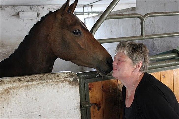 DSP Stidsbjergs Night Whisper billede 6