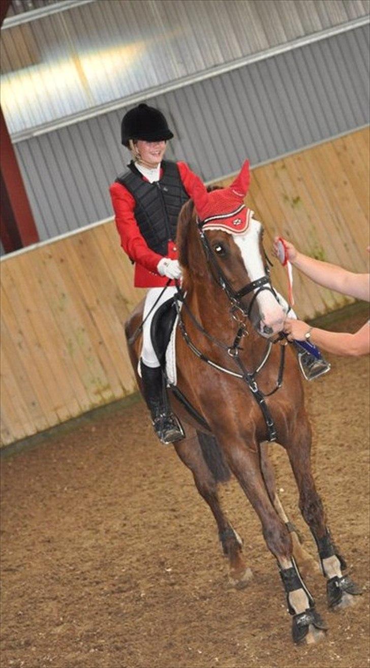 Hollandsk Varmblod WERONICA - første plads i rkl billede 16