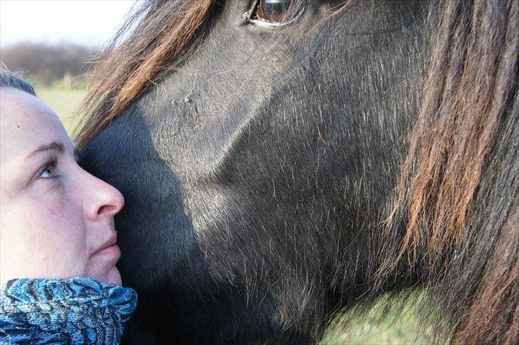 Frieser Frodo De Leuke billede 1