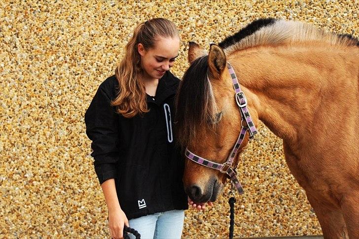 Anden særlig race Chess (Rider ikke mere) RIDESKOLEHEST - 1) Chess og jeg :-* Foto: Bettina Westh <3 billede 1