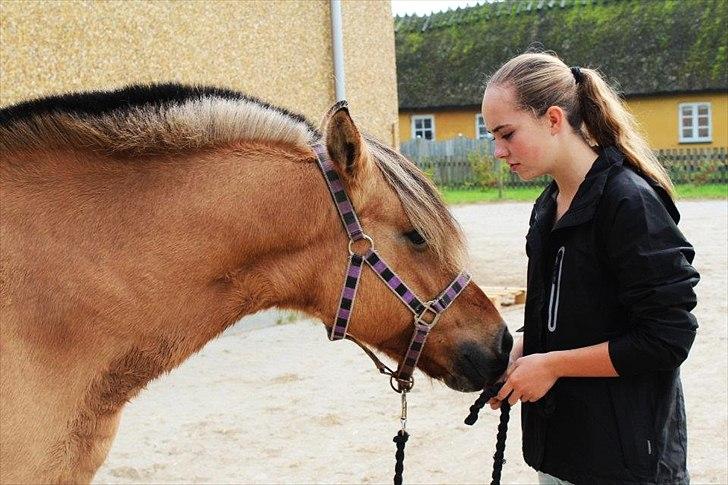 Anden særlig race Chess (Rider ikke mere) RIDESKOLEHEST - 3) Chess og jeg :-) Foto: Bettina Westh <3 billede 3
