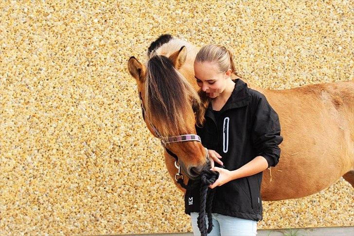 Anden særlig race Chess (Rider ikke mere) RIDESKOLEHEST - 5) Chess og jeg igen :-) Dejlige hest! Foto: Bettina Westh <3 billede 5