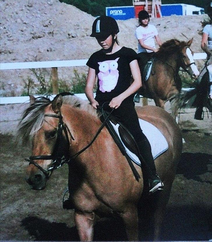 Anden særlig race Chess (Rider ikke mere) RIDESKOLEHEST - 11) Riigtig gammelt billede! Første gang jeg rider på Chess.. Foto: Morfar <3 billede 11