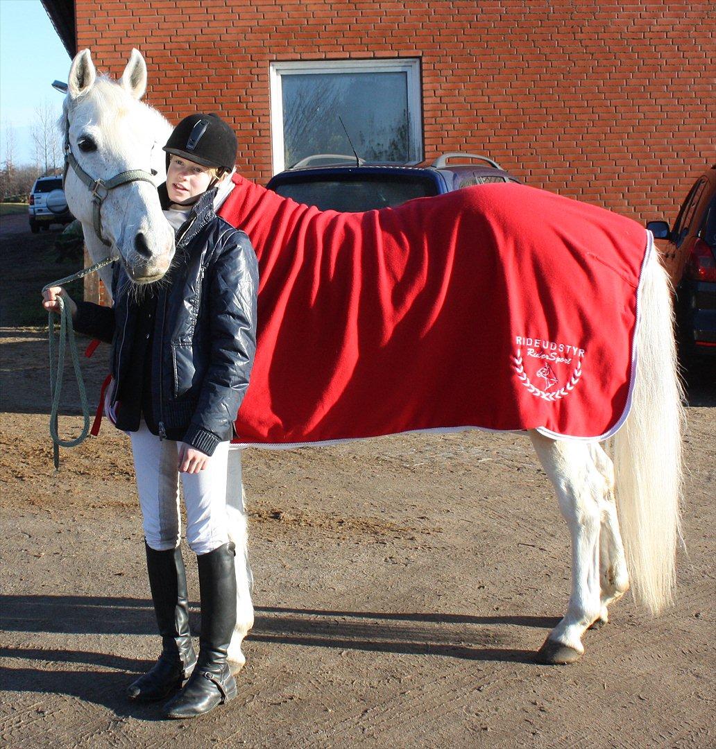 Anden særlig race Mr. Rubin Hurricane Carter B-Pony - Mr. Rubin Hurricane Carter Distrikt stævne i Herning billede 9