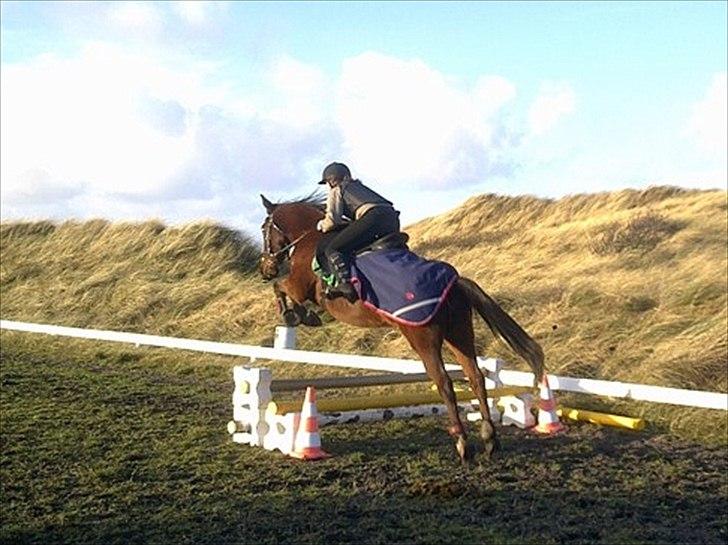 Traver Flying Corona (Fly) - Lidt spring på Fly <3
 billede 2