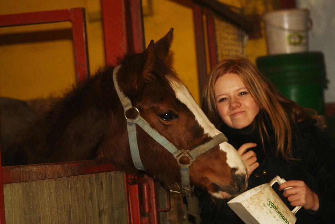 Palomino LadiSantos! :-* - Dejlige føllebølle <3
Billede: taget af A-k med mit kamera :-D billede 3