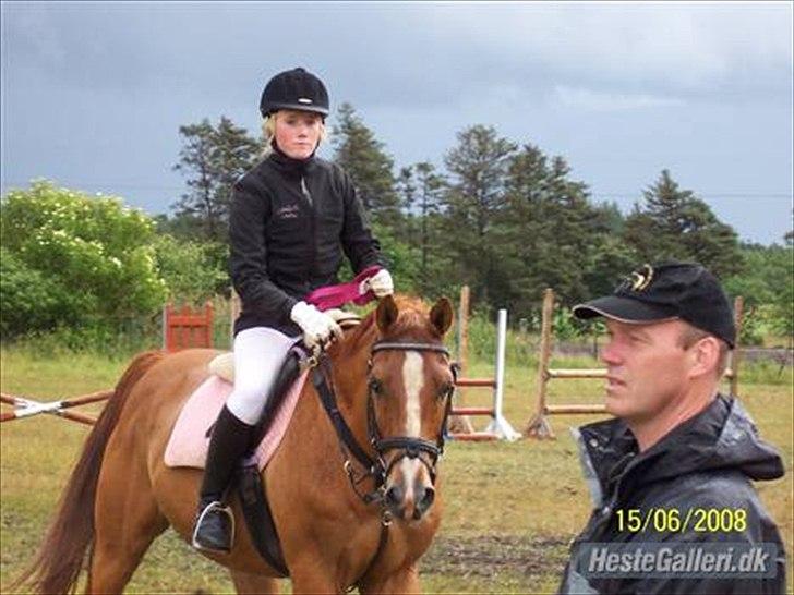 Dansk Varmblod Der Tangent Attrup R.I.P billede 3