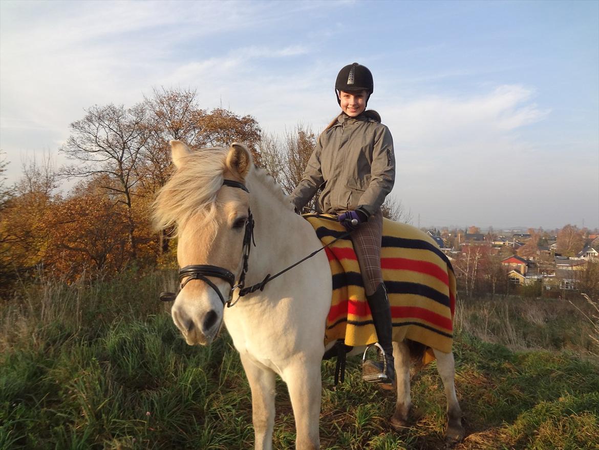 Fjordhest Thor lysholm - Verdens beeeedste hest! 
- jeg elsker dig utroligt højt minskat!!! <3 <3 billede 14