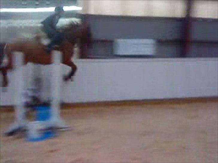 Dansk Varmblod Der Tangent Attrup R.I.P - Mig og tangent der springer<3. taget ud fra video, derfor så dårlig billede kvalitet.  billede 17