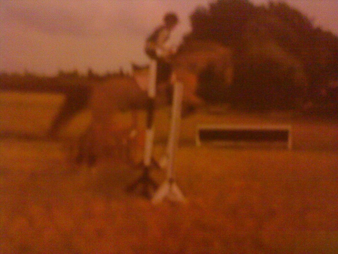 Dansk Varmblod Der Tangent Attrup R.I.P - taget med mobil, ud fra billede på væggen :-)) Mig og tangent til springundervisning. billede 18