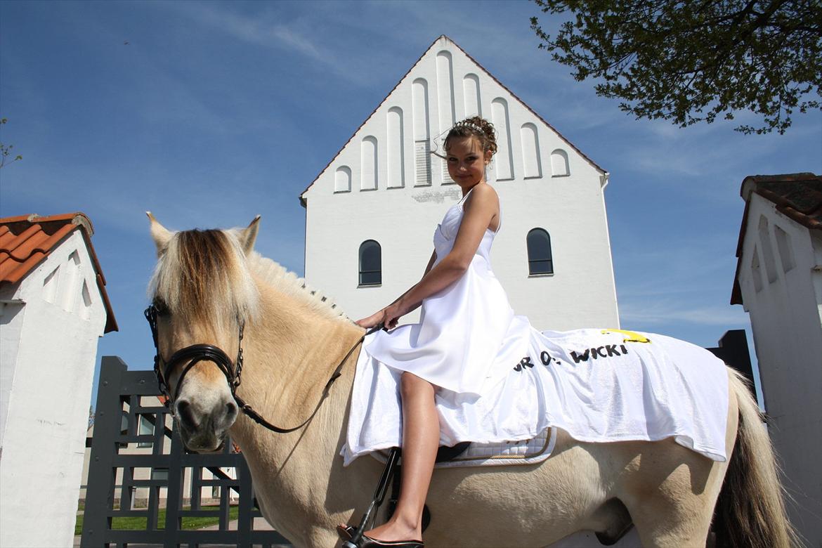 Fjordhest Thor lysholm - Konfirmation <3 <3 billede 20