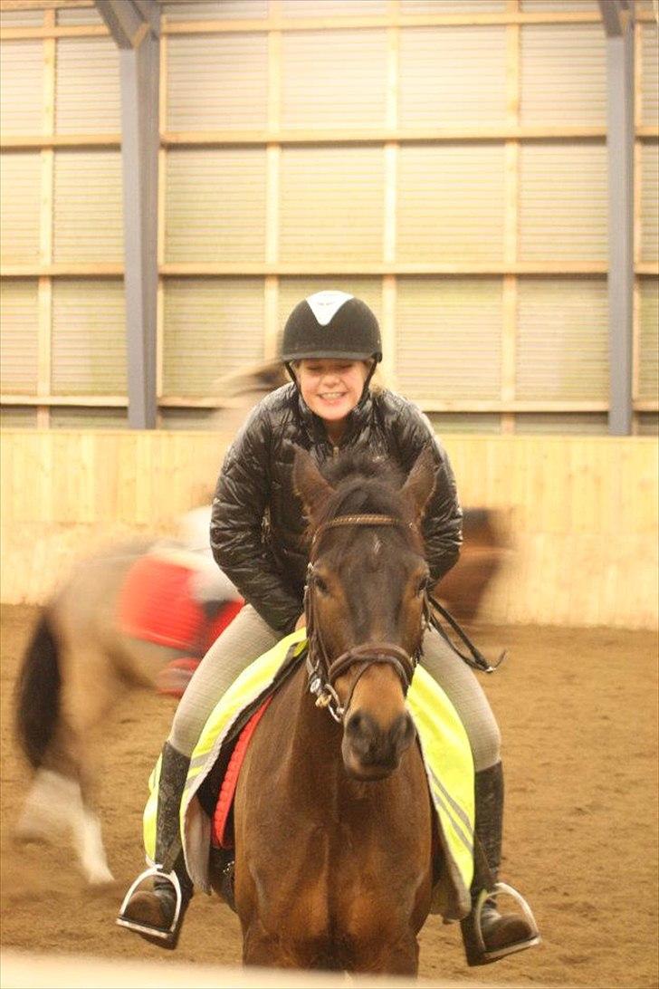 Anden særlig race Prince Joey - Hihi.. vi er da altid lidt mærkelige :P

Foto Mia:-) billede 19