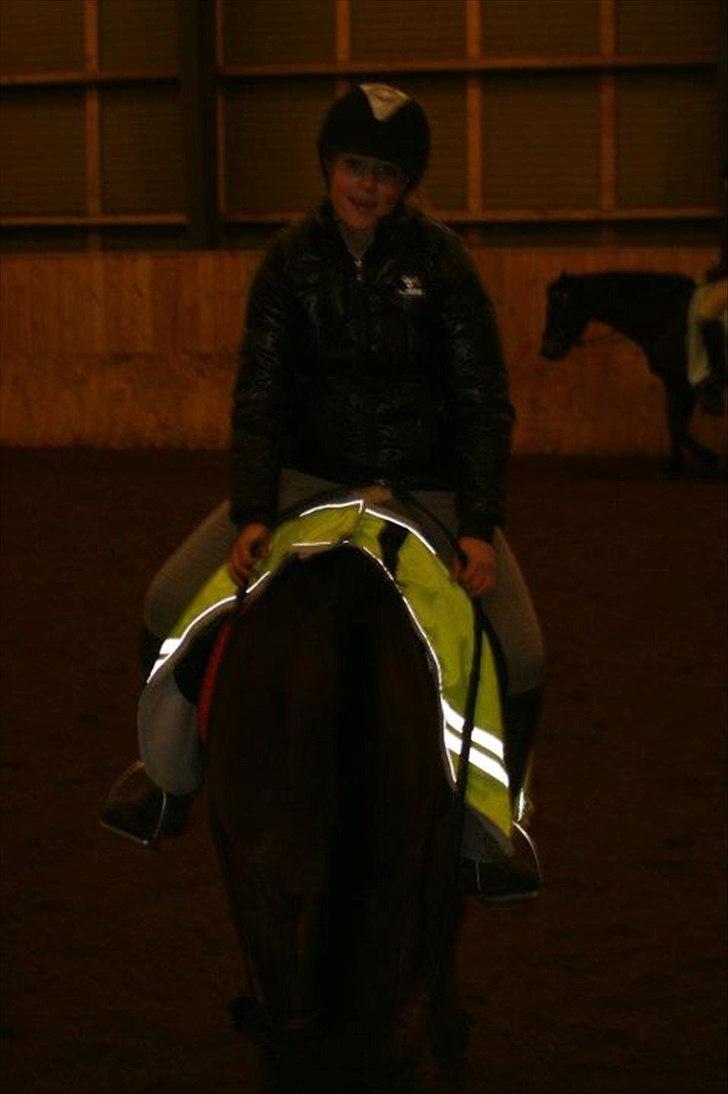 Anden særlig race Prince Joey - Joey skal lige klø sig:-> hehe..

Foto: Mia:D billede 20