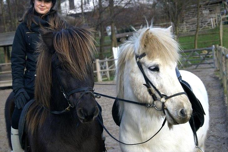Islænder Pati fra Blesastödum - <3 Vinteren 2011/2012<3

Hyggelig dag hos hestene med Emilie<3 
Elsker af ride med dig søde pige<3;) billede 20