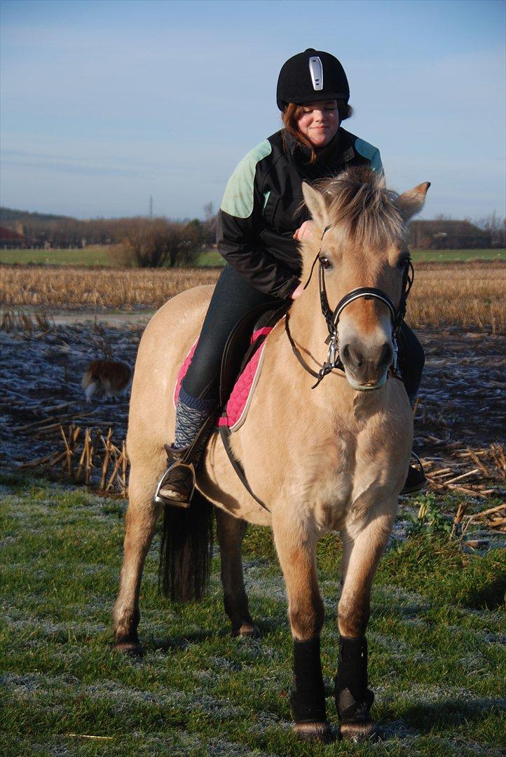 Fjordhest Karla - Min dejlige Karla og mig <3 billede 17