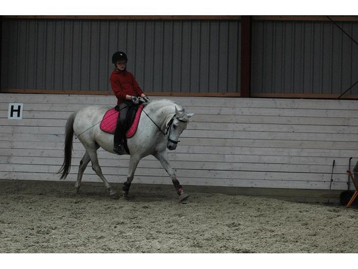 {{currentPhoto.altText}} billede {{currentPhoto.number}}