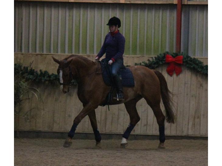 {{currentPhoto.altText}} billede {{currentPhoto.number}}