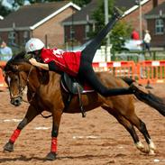 Anden særlig race La-paloma