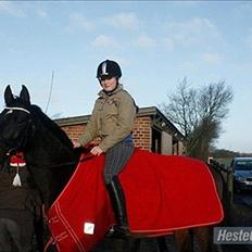 Anden særlig race Candy